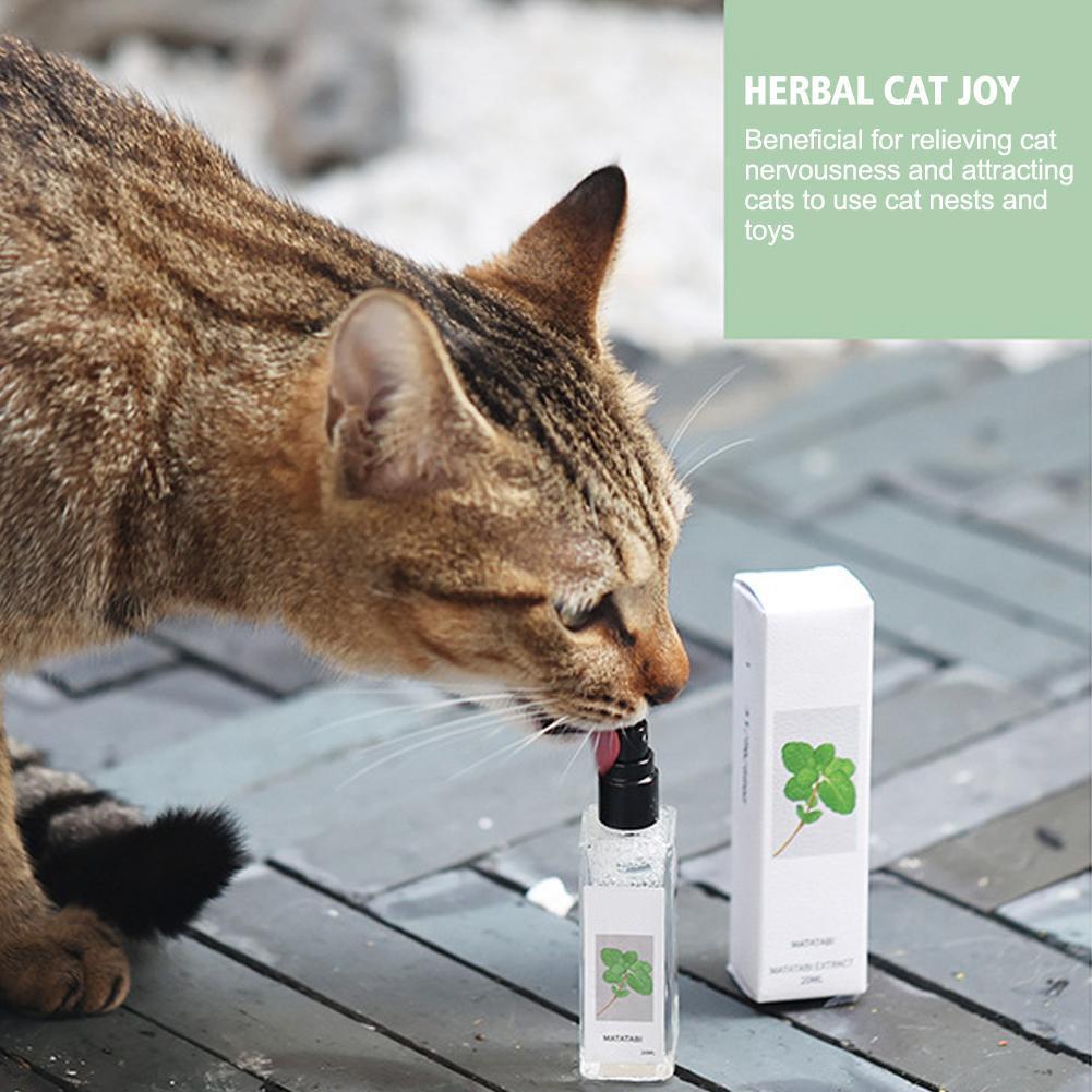 Pet Supplies Online - 20/100ml Ziołowy Cat Joy Spray Celery