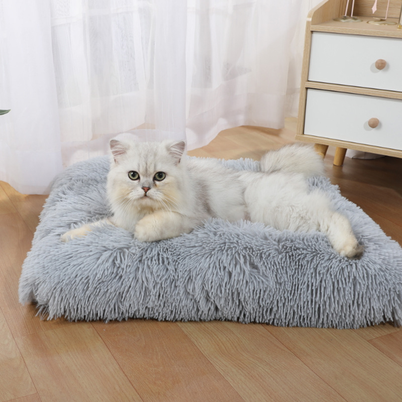 Pet Supplies In Amazon - Mata dla psa Amazon Nowa Mata