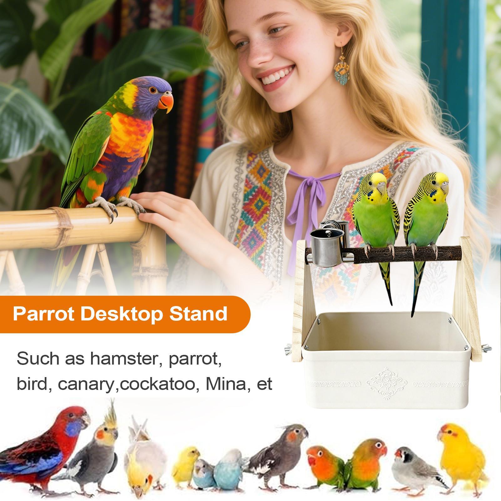 Pet Supplies Zoo - Stojak na stół dla ptaków, żerdź