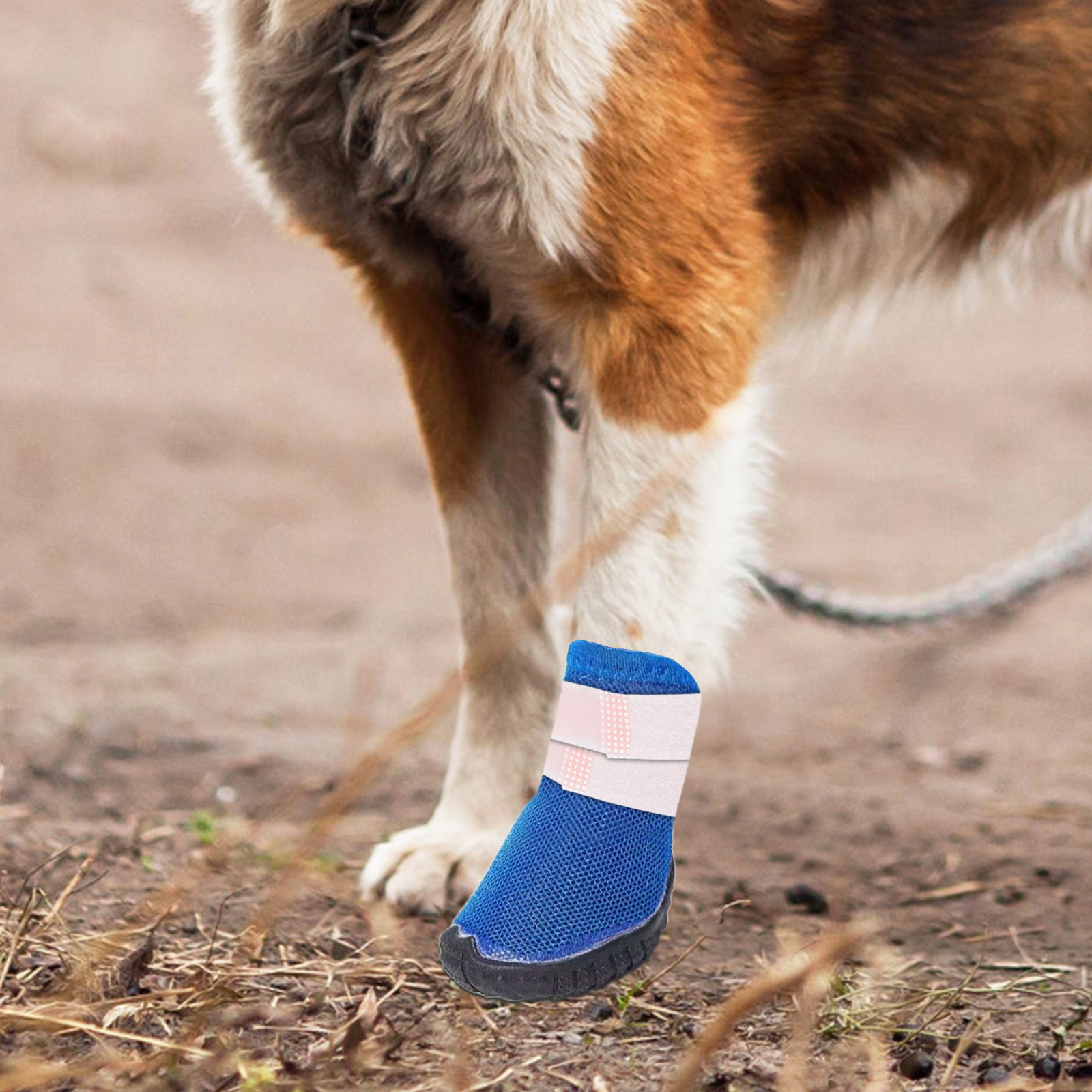 Dog Booties Paw Protector - 10 szt. uchwytów na buty dla