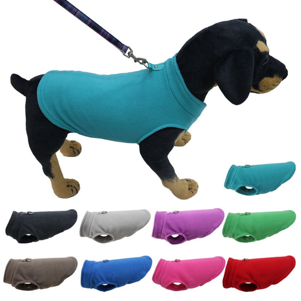 Pet Supplies In Amazon - Europa, Ameryka, ubranka dla zwierząt Amazon,