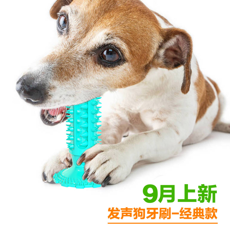Zabawka dla psa z przyssawką,  – Pet Supplies In Amazon recenzja i cena