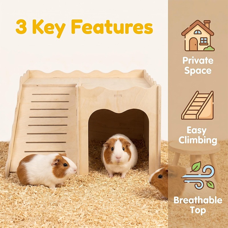 Amazon Zabawki drewniane dla c – Pet Supplies In Amazon recenzja i cena