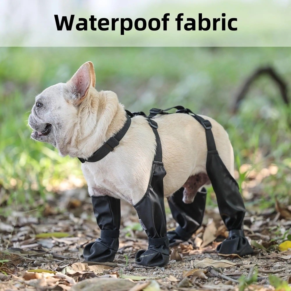 Wodoodporne buty dla psa chron – Dog Booties Paw Protector recenzja i cena