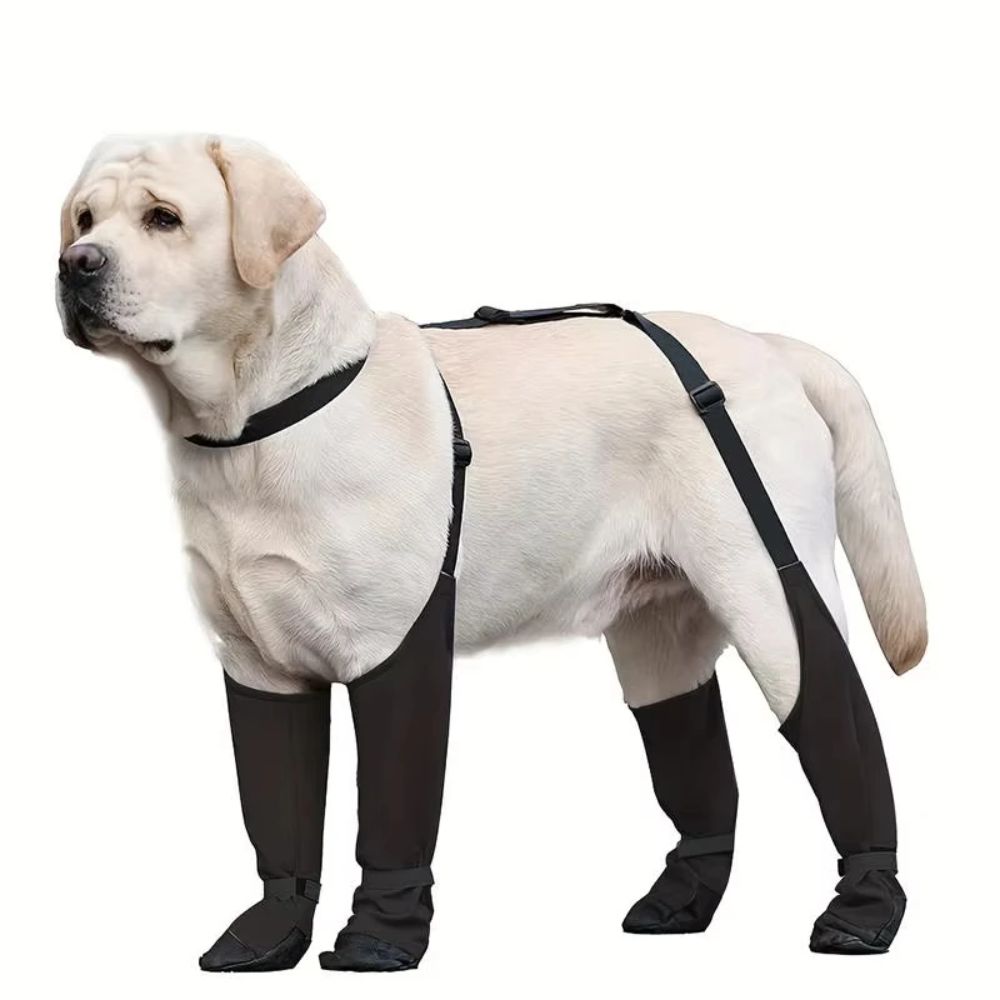 Wodoodporne buty dla psa chron – Dog Booties Paw Protector recenzja i cena