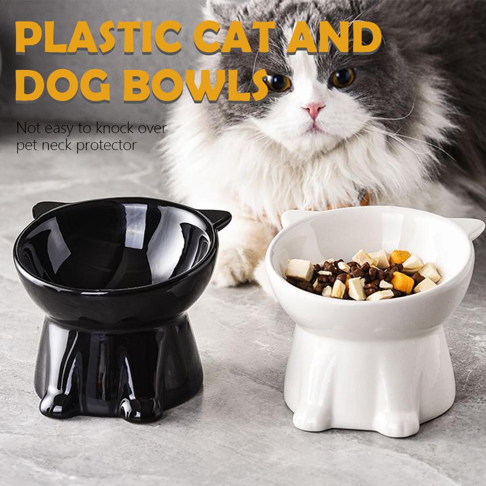 Czarna Miska dla Kota Amazon P – Pet Supplies In Amazon recenzja i cena