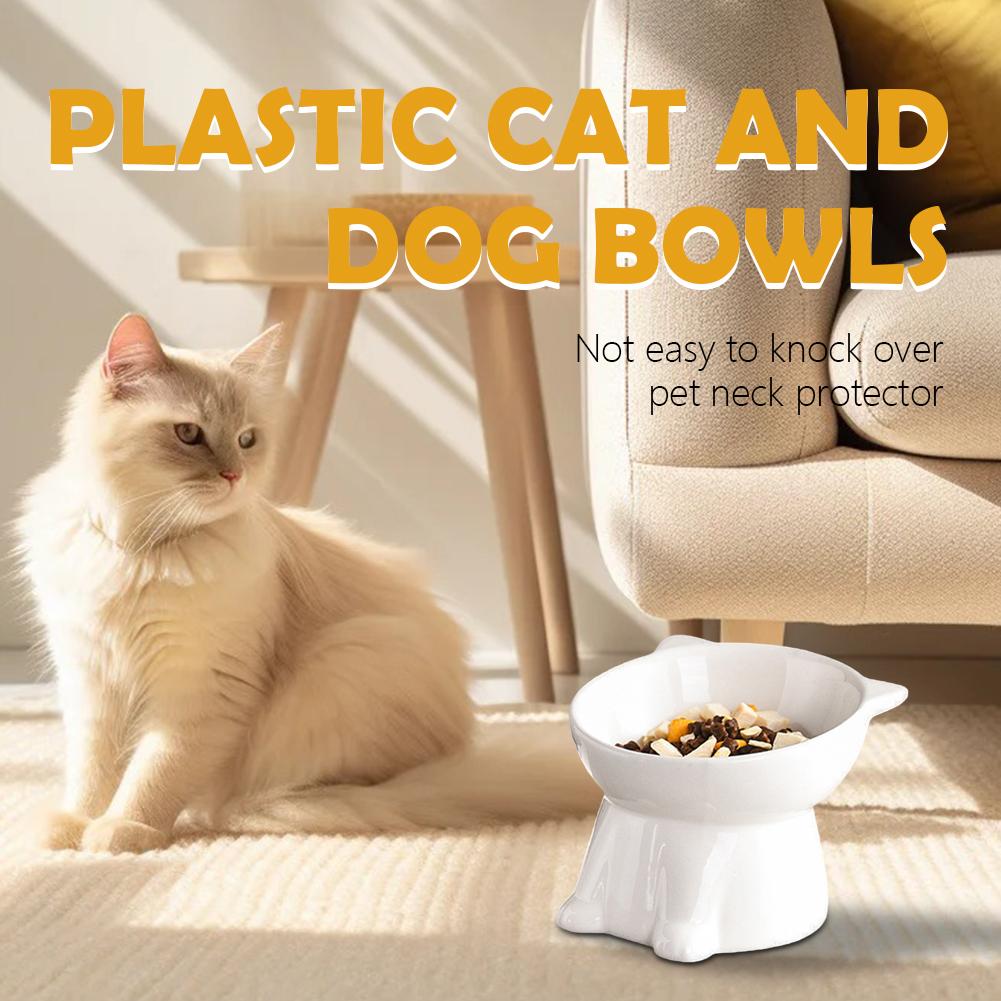 Czarna Miska dla Kota Amazon P – Pet Supplies In Amazon recenzja i cena