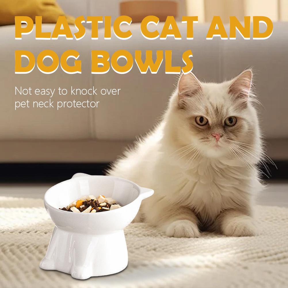 Czarna Miska dla Kota Amazon P – Pet Supplies In Amazon recenzja i cena
