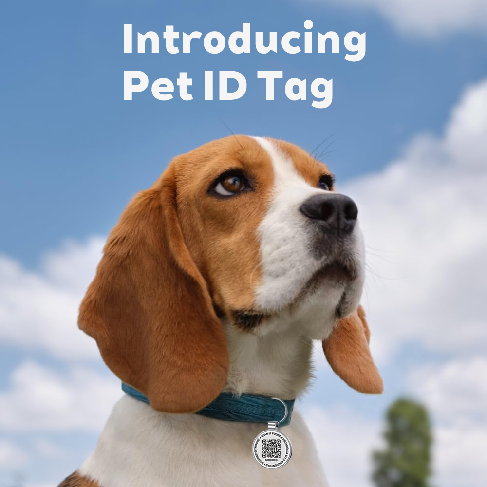 Metalowa identyfikatka dla psa – Pet Supplies Online recenzja i cena