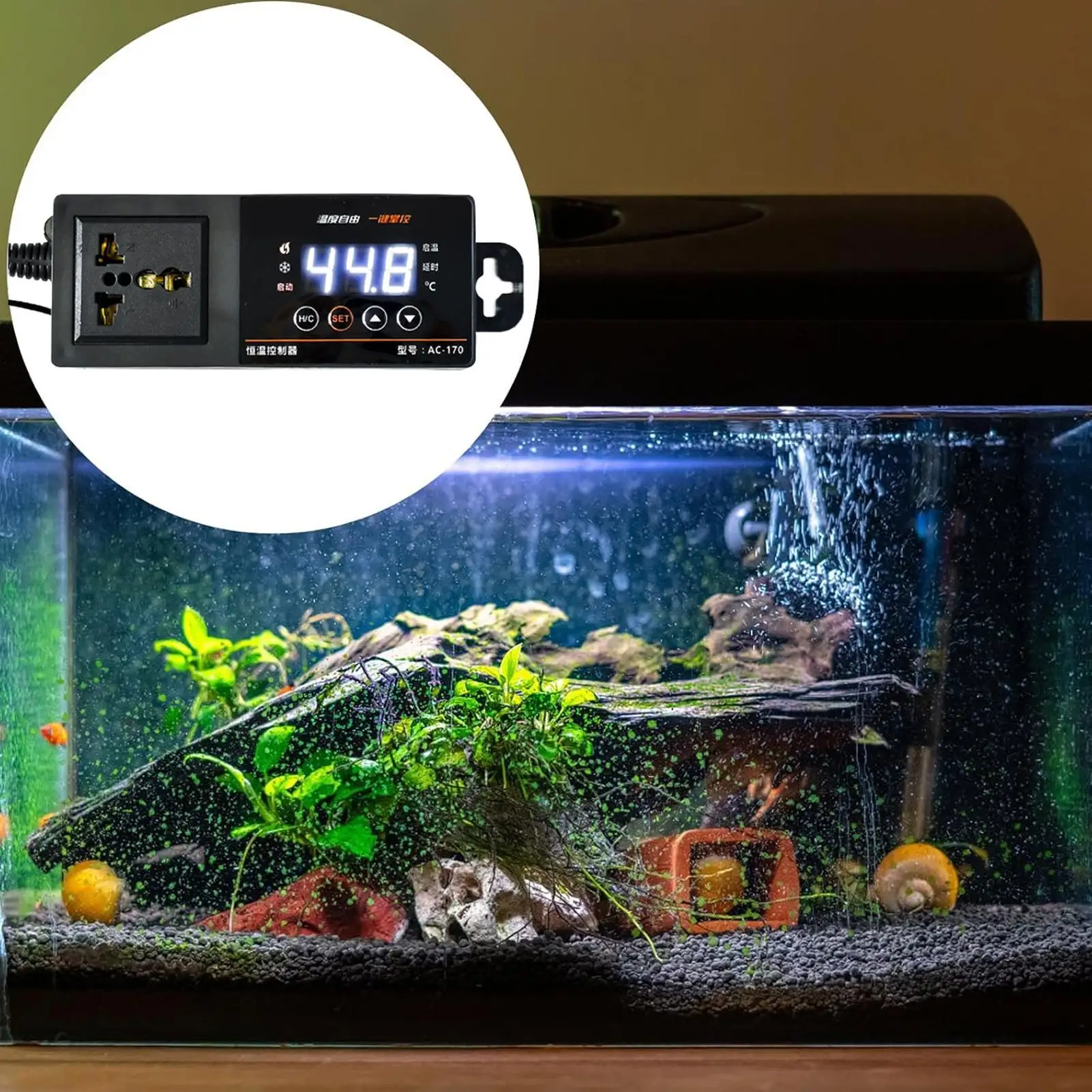 Termostat do terrarium dla gad – Pet Supplies Uk recenzja i cena