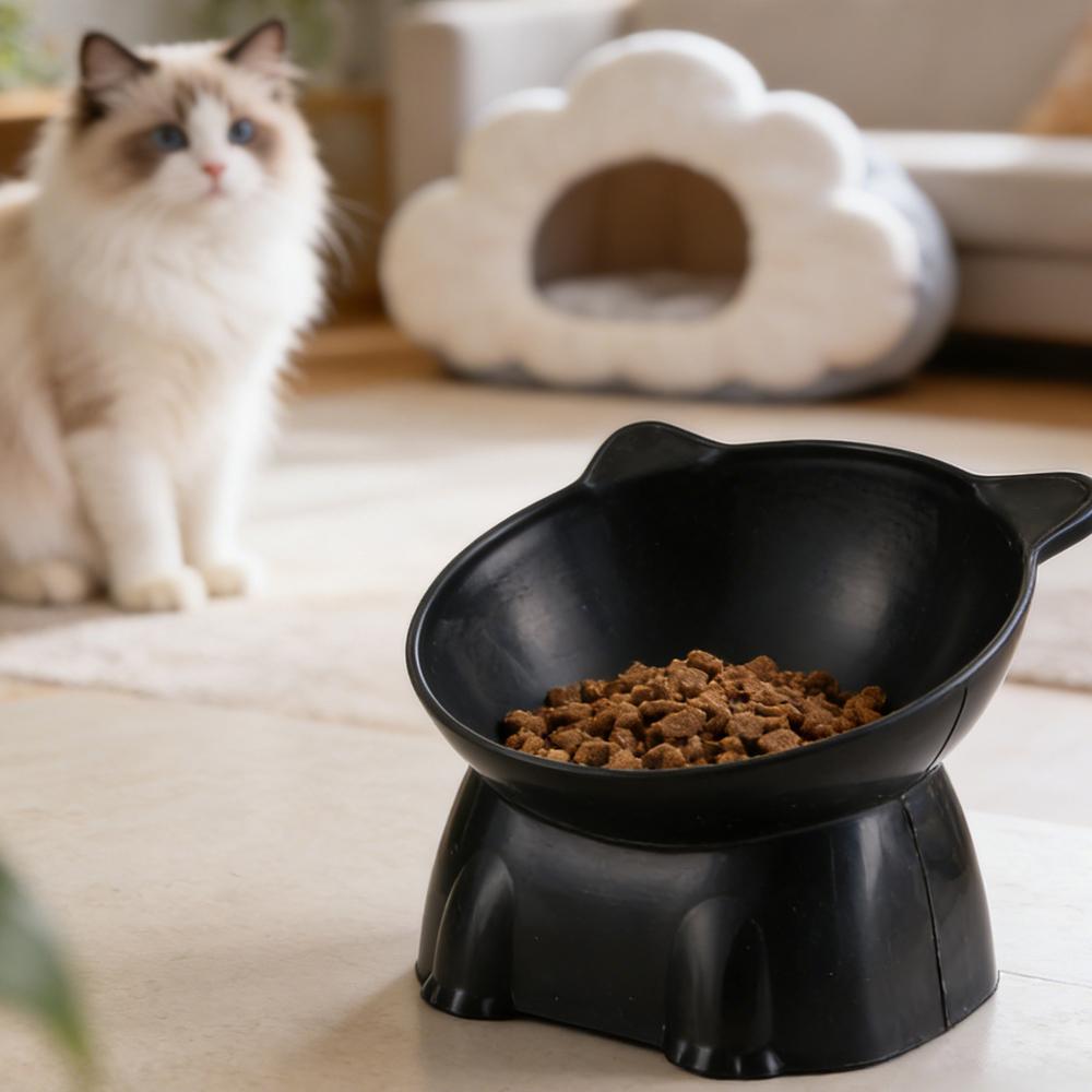 Czarna Miska dla Kota Amazon C – Pet Supplies In Amazon recenzja i cena
