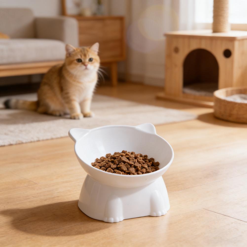Czarna Miska dla Kota Amazon C – Pet Supplies In Amazon recenzja i cena
