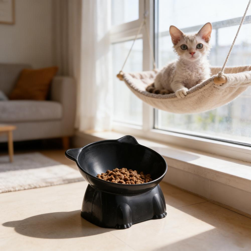 Czarna Miska dla Kota Amazon C – Pet Supplies In Amazon recenzja i cena