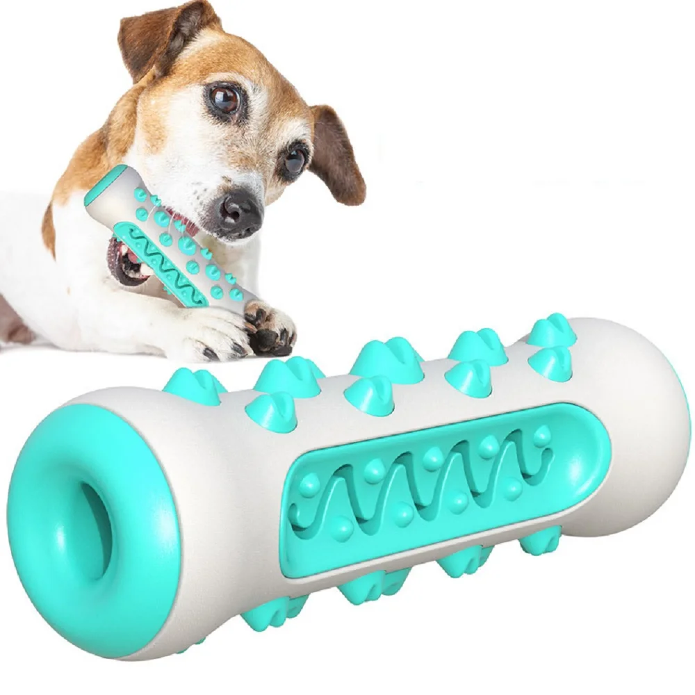 Akcesoria dla zwierząt Amazon  – Pet Supplies In Amazon recenzja i cena