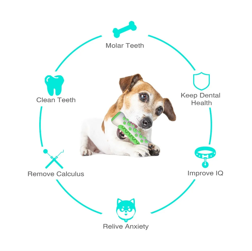 Akcesoria dla zwierząt Amazon  – Pet Supplies In Amazon recenzja i cena