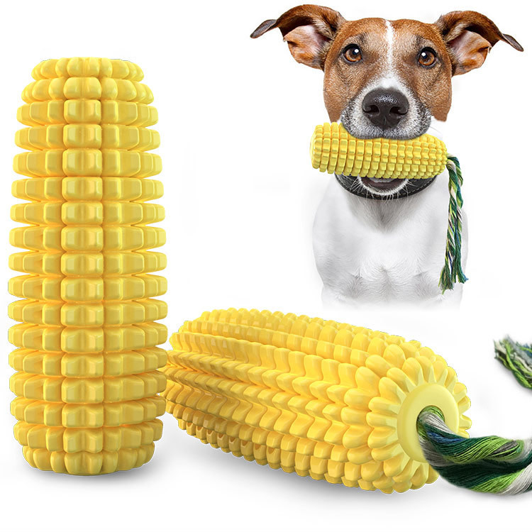 Piszcząca zabawka dla psa w ks – Pet Supplies In Amazon recenzja i cena