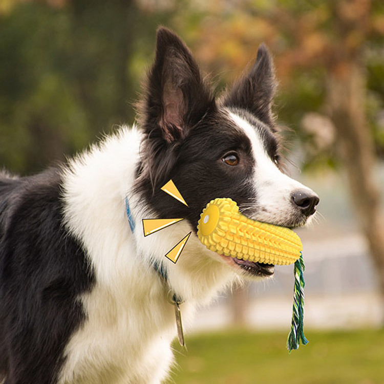 Piszcząca zabawka dla psa w ks – Pet Supplies In Amazon recenzja i cena