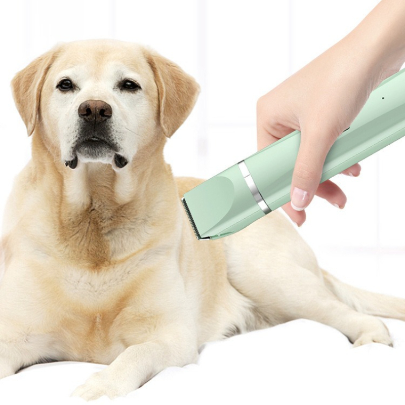 Elektryczna maszynka do strzyż – Pet Supplies Grooming Hours recenzja i cena