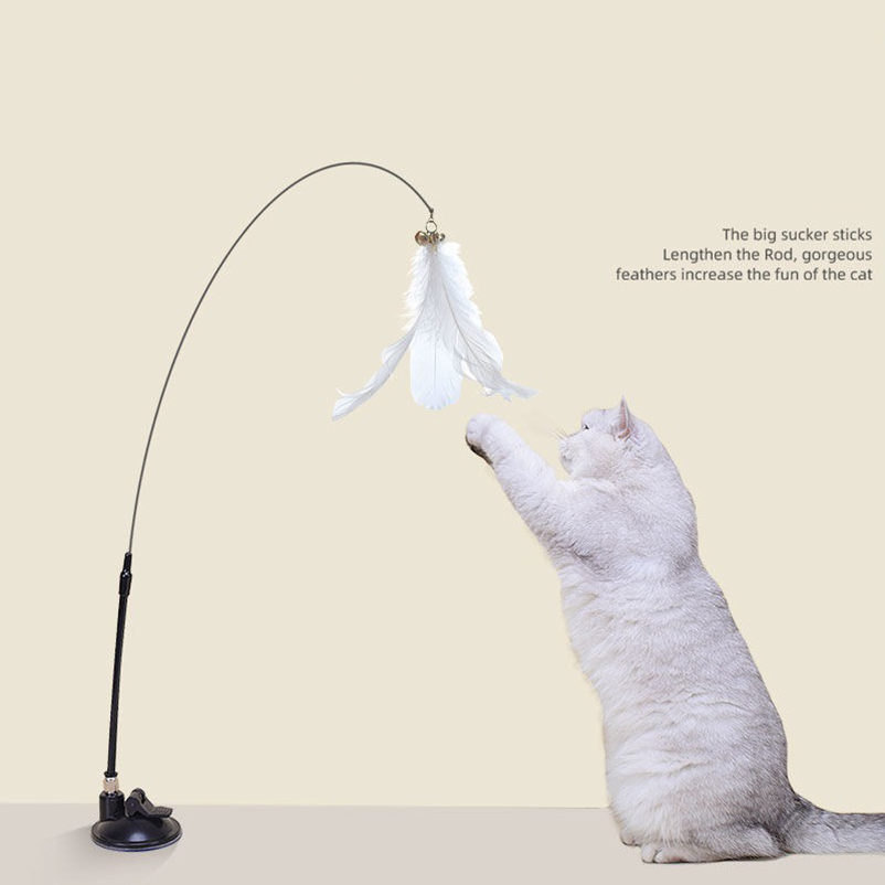 Nowa, mocna przyssawka do draż – Pet Supplies In Amazon recenzja i cena