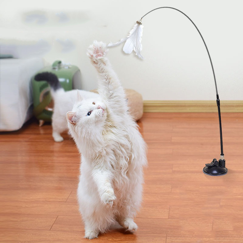 Nowa, mocna przyssawka do draż – Pet Supplies In Amazon recenzja i cena