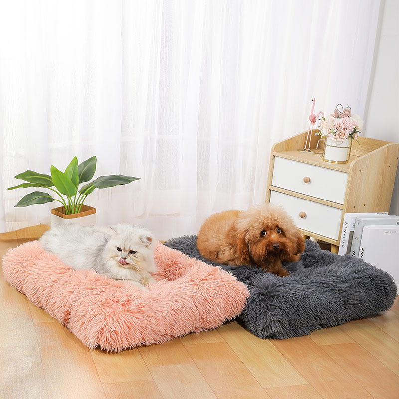 Mata dla zwierząt Amazon, wygo – Pet Supplies In Amazon recenzja i cena