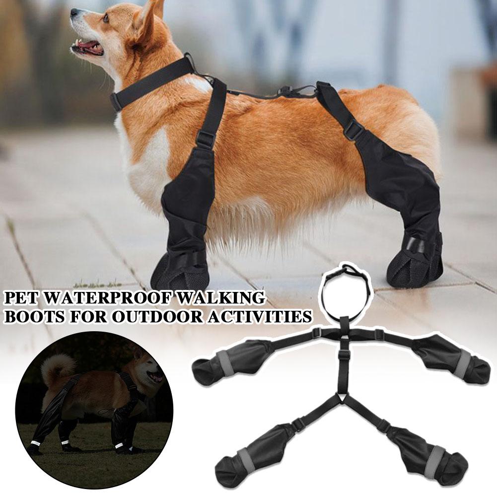 Wodoodporne buty dla psa z sze – Dog Booties Paw Protector recenzja i cena