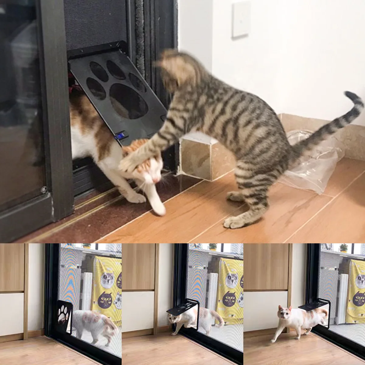 Drzwiczki dla zwierząt Nowe Be – Pet Supplies Online recenzja i cena