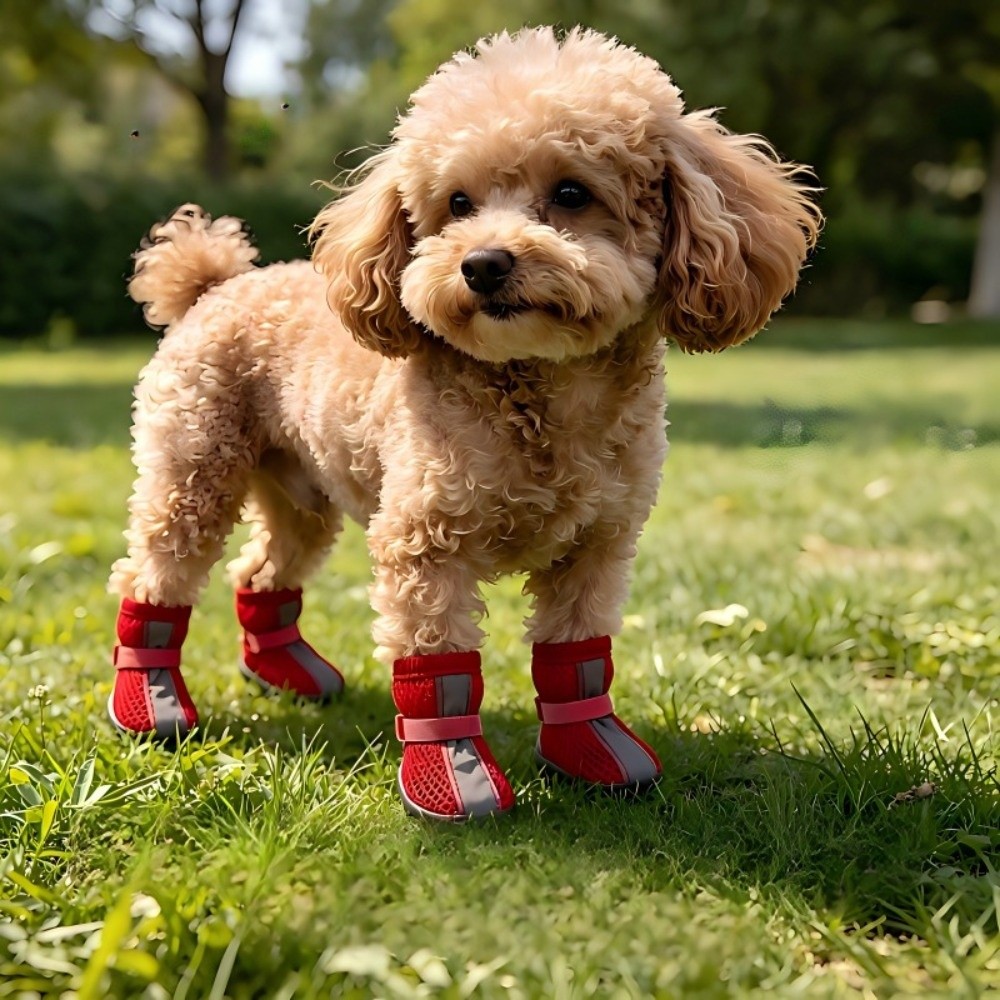4 SZT./ZESTAW Trwałe, antypośl – Dog Booties Paw Protector recenzja i cena