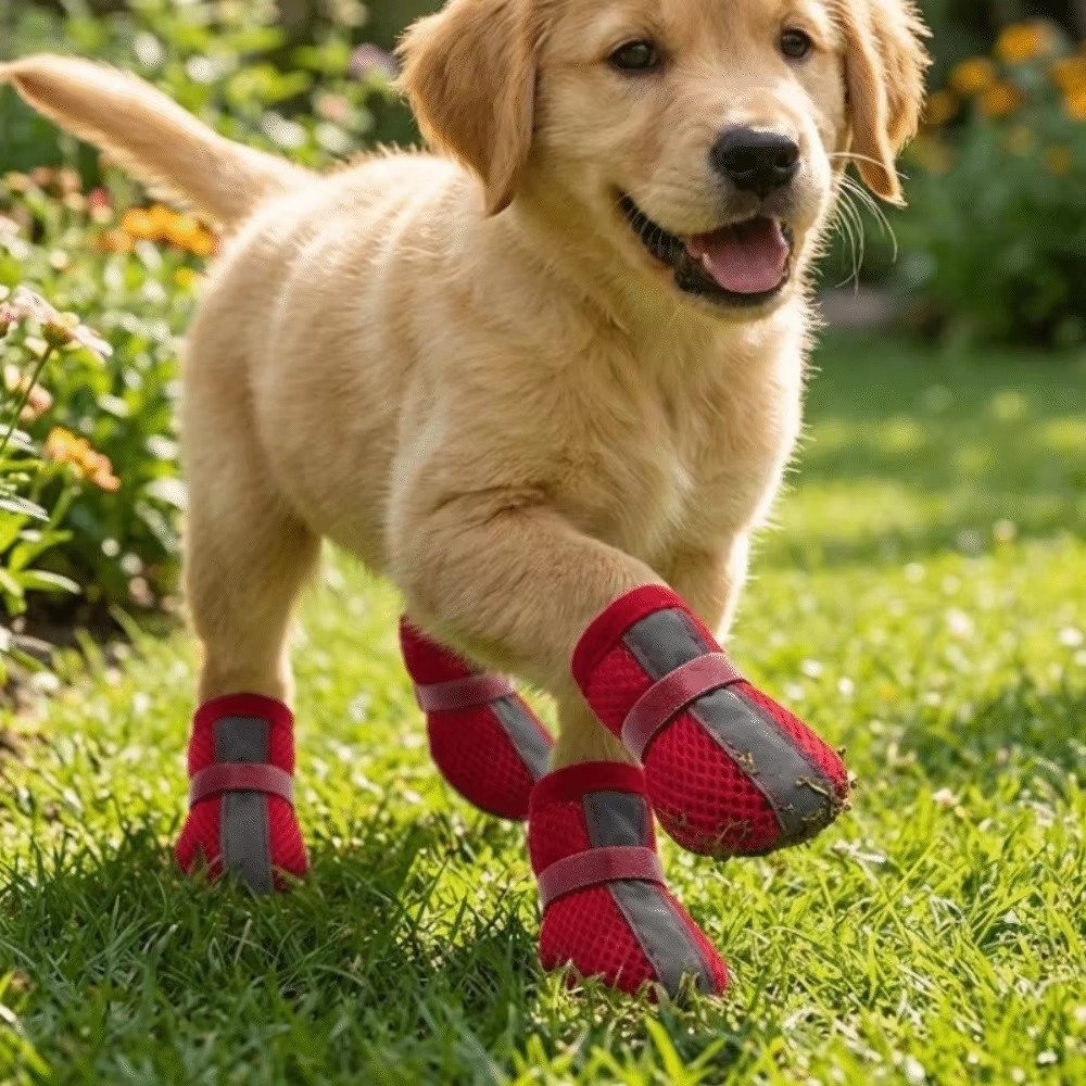 4 SZT./ZESTAW Trwałe, antypośl – Dog Booties Paw Protector recenzja i cena