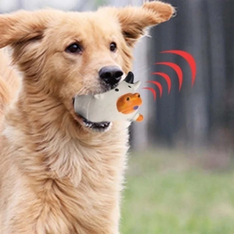 Zabawki dla zwierząt Amazon Be – Pet Supplies In Amazon recenzja i cena