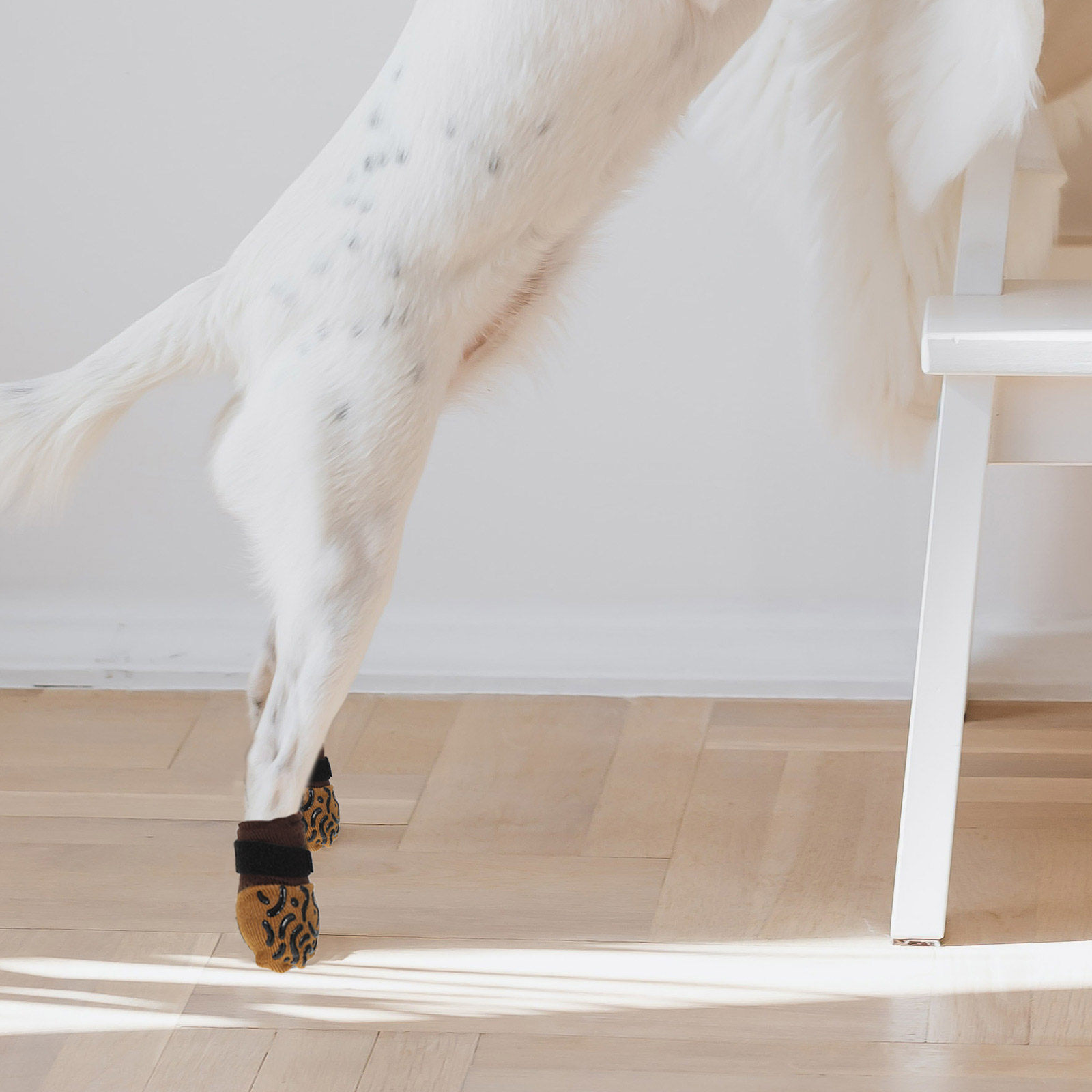 4 szt. Skarpetki dla psów anty – Dog Booties Paw Protector recenzja i cena
